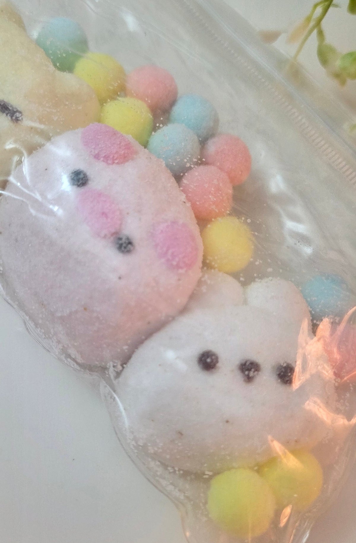 Squishy  - Cute Animals