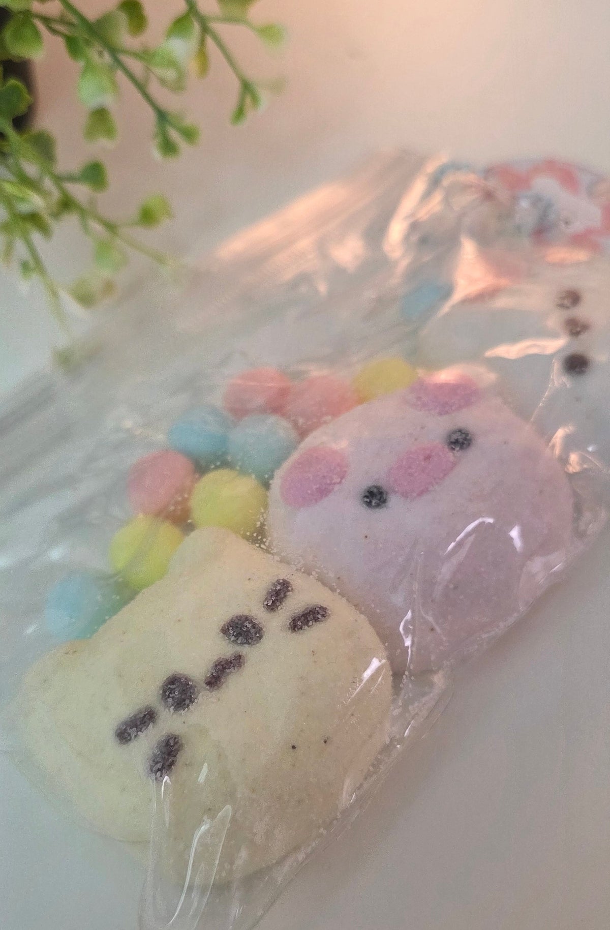Squishy  - Cute Animals